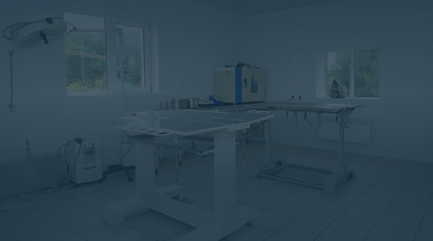 Vet Office Cleaning Service
